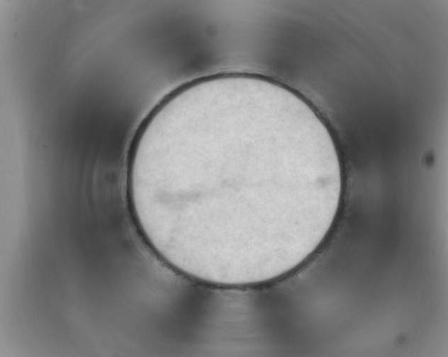 X0000092110836200709191326