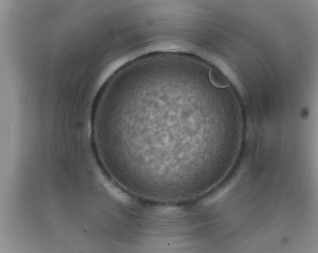 X0000092110837200709191326