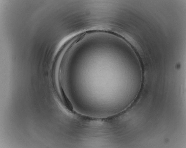 X0000092110838200709191326