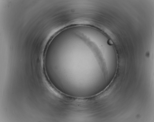 X0000092110840200709191326