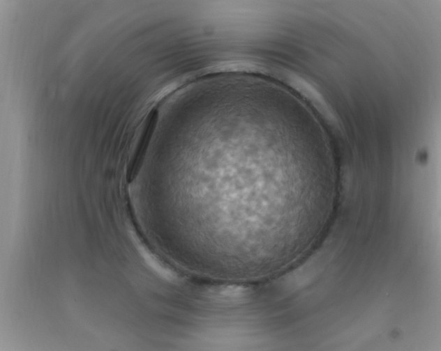 X0000092110841200709191326