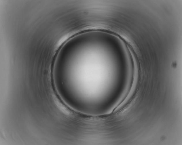 X0000092110842200709191326