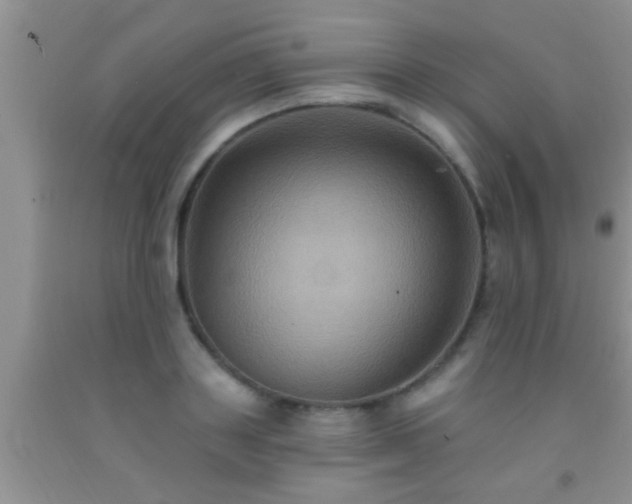 X0000092110843200709191326