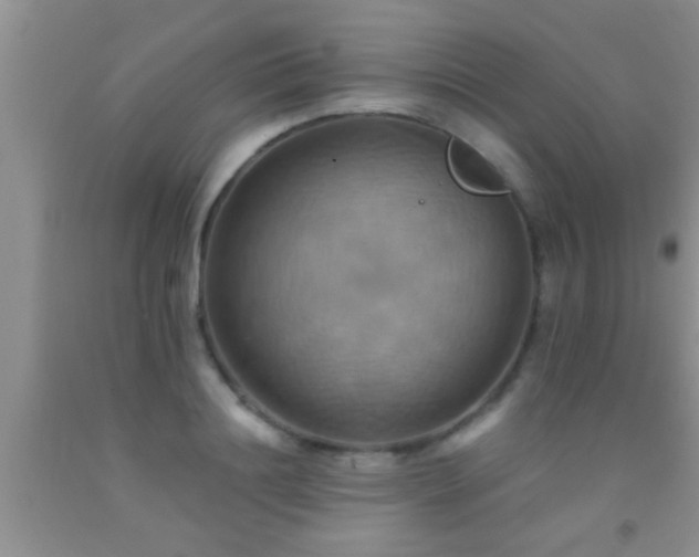 X0000092110844200709191326