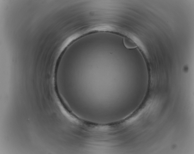 X0000092110845200709191326