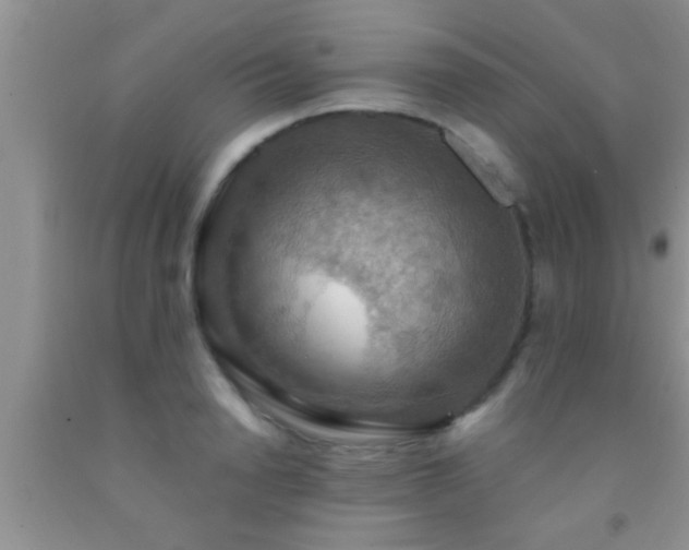 X0000092110846200709191326