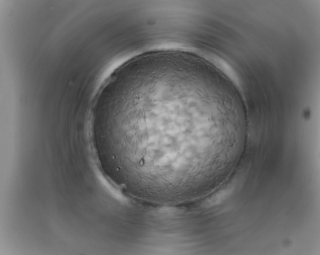 X0000092110847200709191326