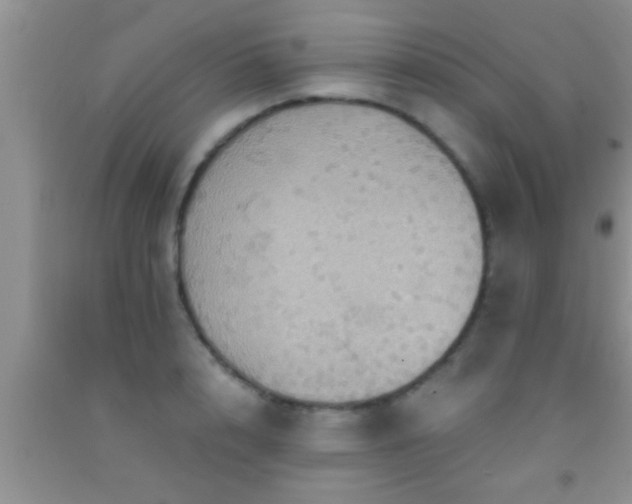 X0000092110848200709191326