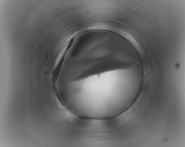 X0000092110849200709191326