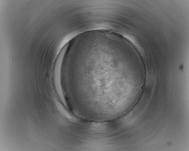 X0000092110850200709191326