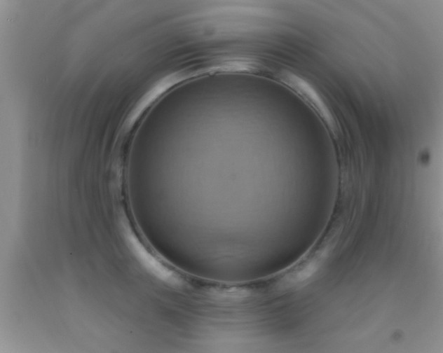 X0000092110851200709191326