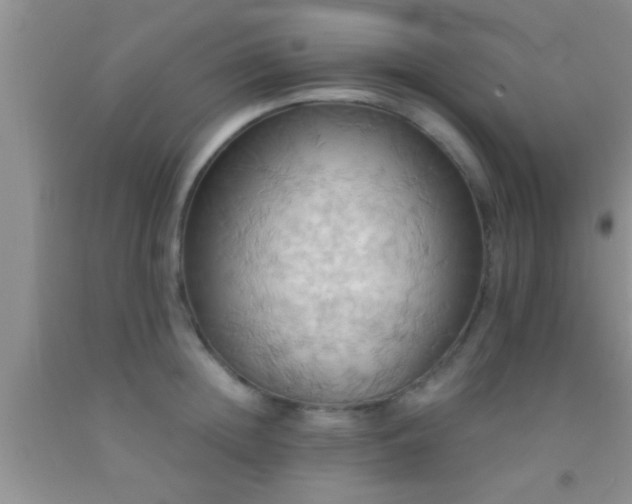 X0000092110852200709191326