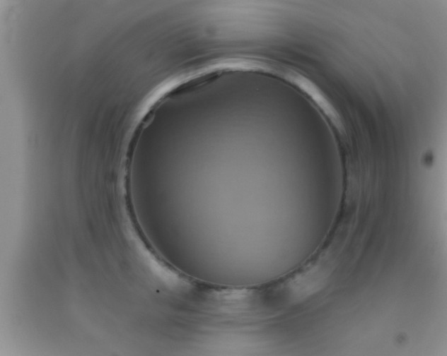 X0000092110853200709191326