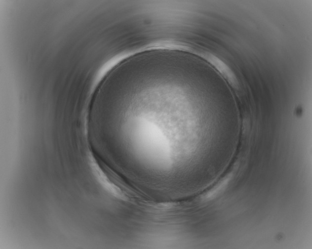 X0000092110854200709191326