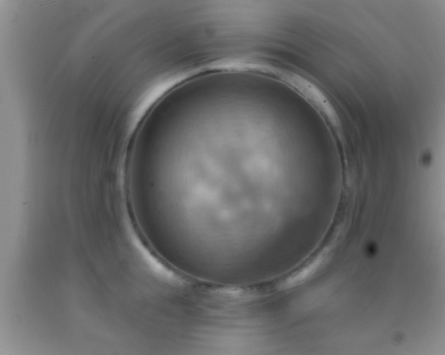 X0000092110855200709191326