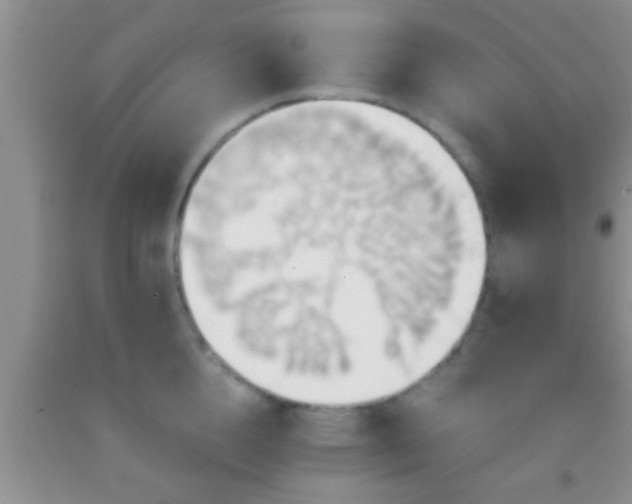 X0000092110856200709191326