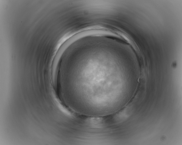 X0000092110858200709191326