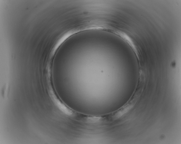 X0000092110859200709191326