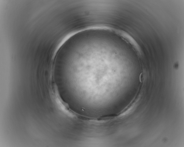 X0000092110860200709191326