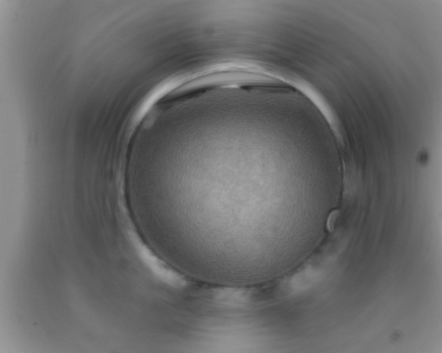 X0000092110861200709191326