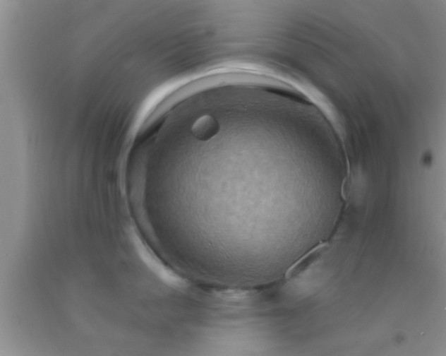 X0000092110862200709191326