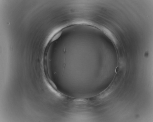 X0000092110863200709191326