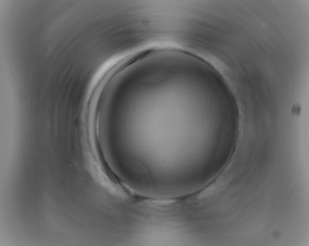 X0000092110864200709191326