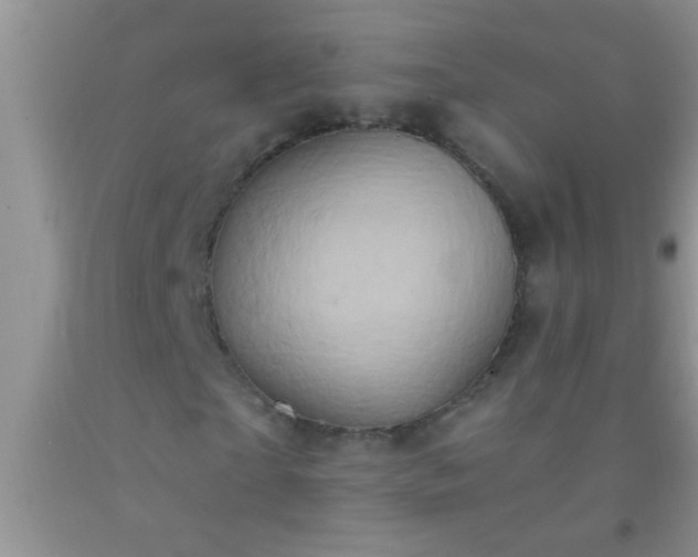 X0000092110865200709191326