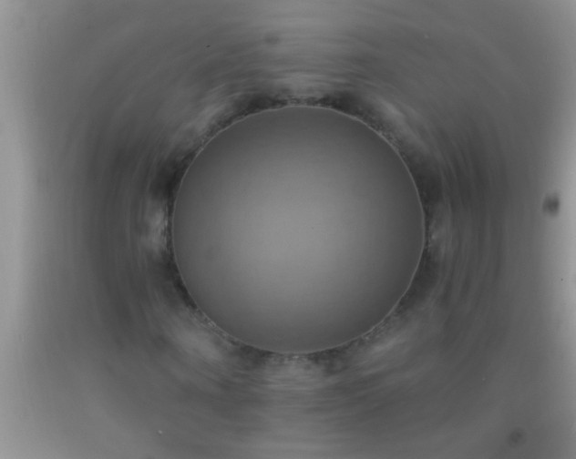 X0000092110866200709191326