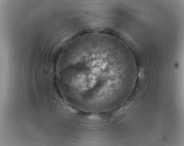 X0000092110867200709191326