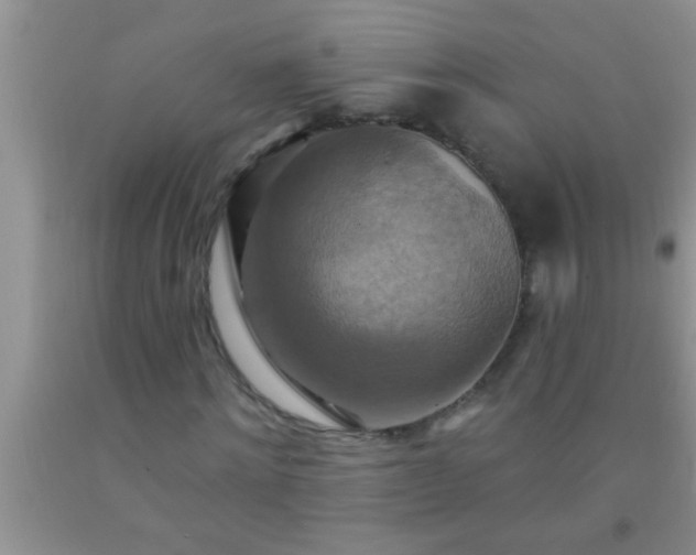 X0000092110868200709191326