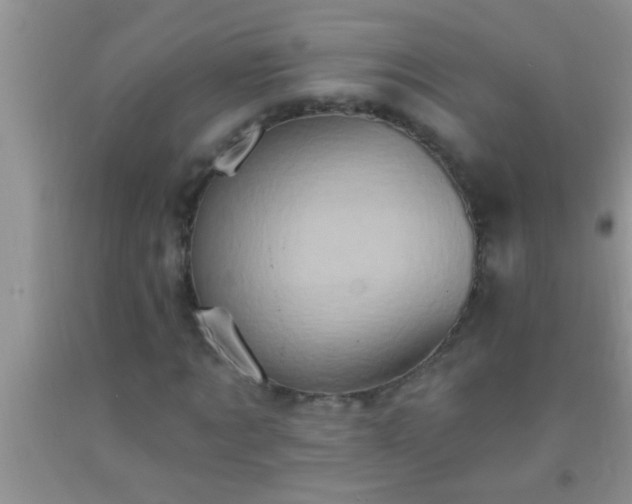 X0000092110869200709191326