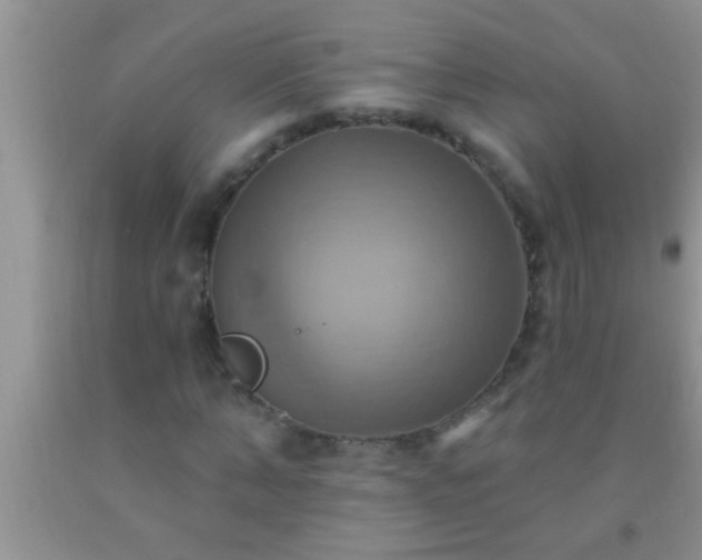 X0000092110870200709191326