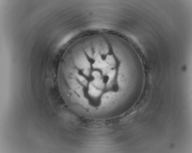 X0000092110871200709191326