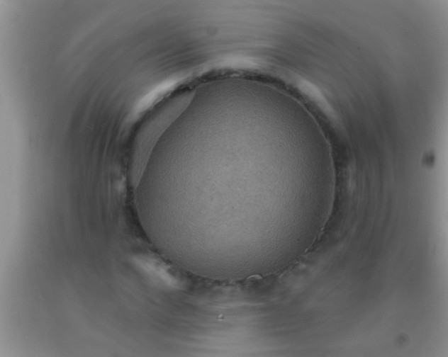 X0000092110872200709191326