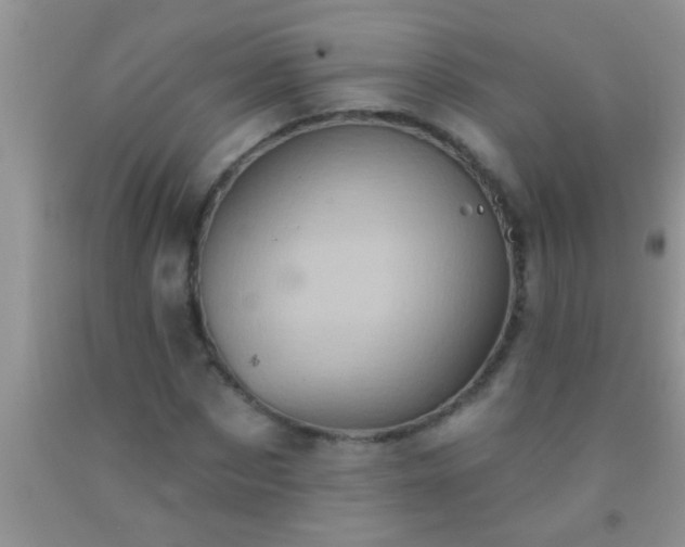 X0000092110873200709191326