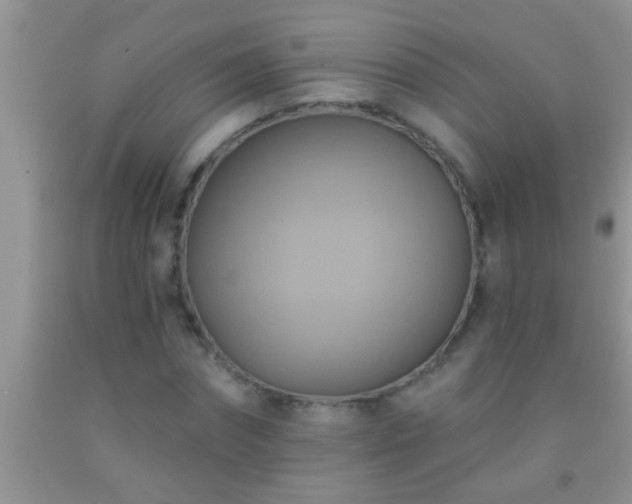 X0000092110874200709191326