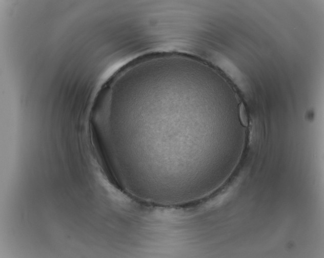 X0000092110876200709191326