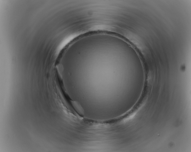 X0000092110877200709191326