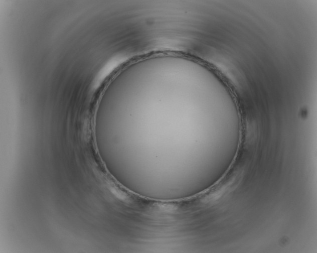 X0000092110878200709191326