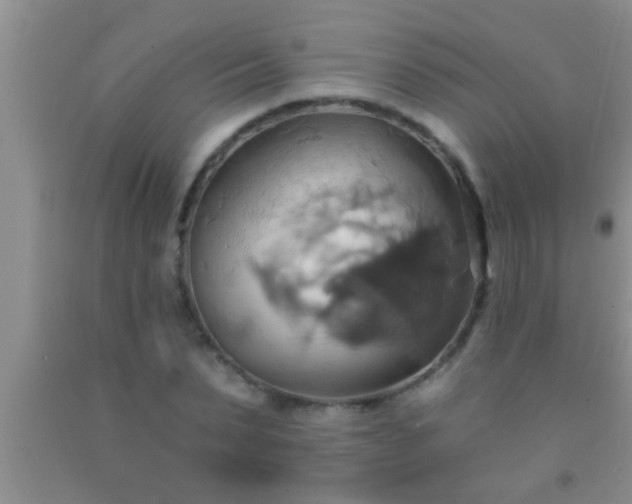 X0000092110879200709191326