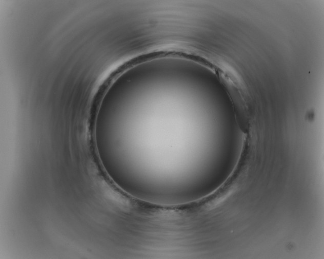 X0000092110880200709191326