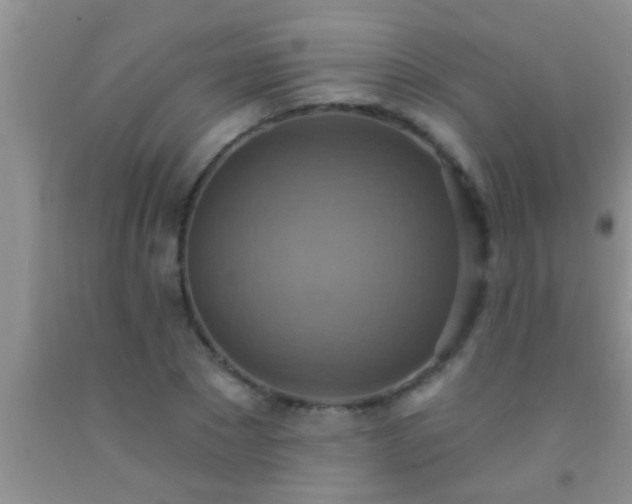 X0000092110881200709191325