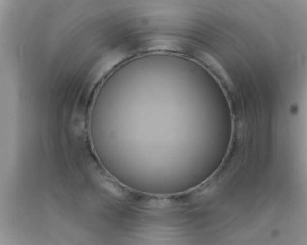 X0000092110882200709191325