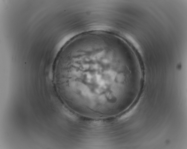 X0000092110883200709191325