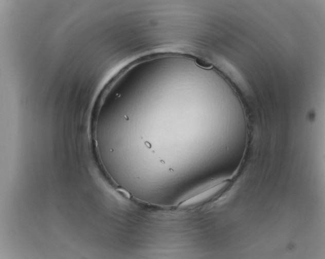 X0000092110884200709191325