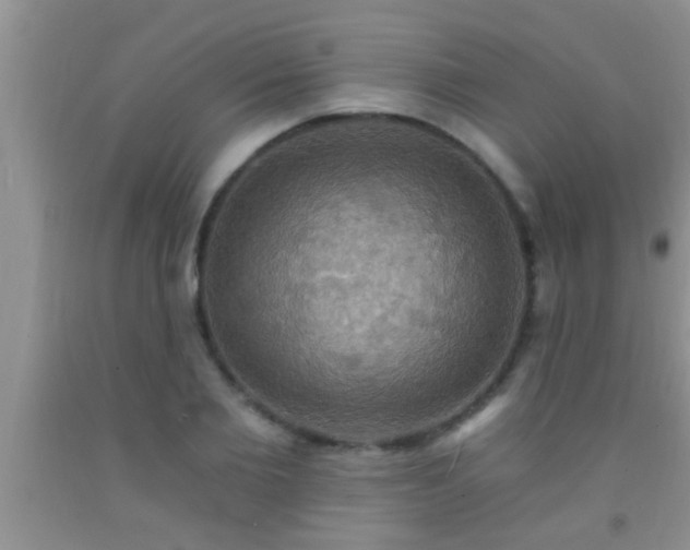 X0000092110885200709191325