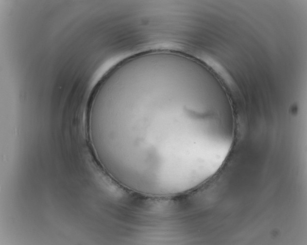 X0000092110886200709191325