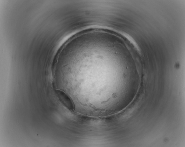 X0000092110887200709191325