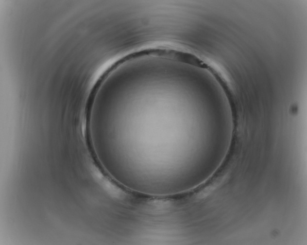 X0000092110888200709191325